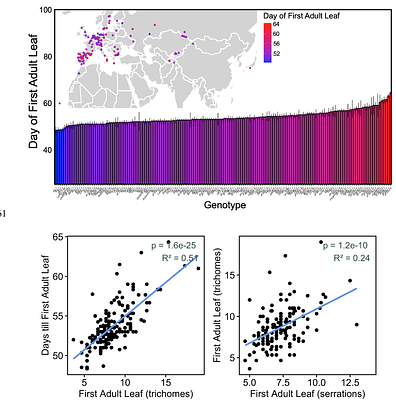 It's all in the timing: vegetative phase change alters selection under drought and contributes to local adaptation