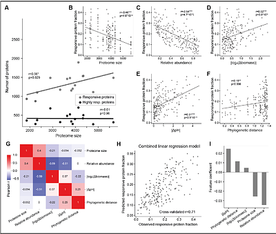Interspecies interactions drive bacterial proteome reorganisation and emergent metabolism