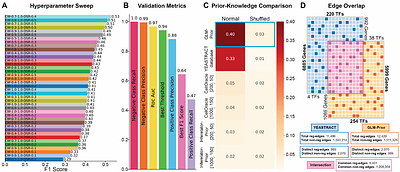 GLM-Prior: a nucleotide transformer model reveals prior knowledge as the driver of GRN inference performance