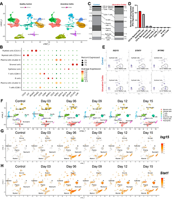 Type I interferon signaling promotes mucosal inflammation in murine models of colitis