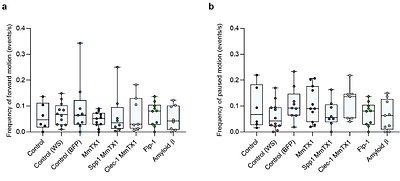 Screening conditions and constructs for attempted genetic transformation of C. elegans by Agrobacterium