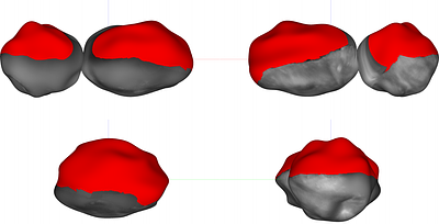 The Shape of (486958) Arrokoth