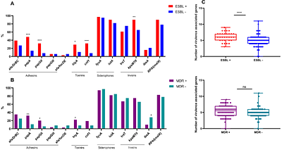 Virulence and antimicrobial resistance features among clades of Escherichia coli ST131 strains causing community-acquired urinary tract infection in Rio de Janeiro, Brazil