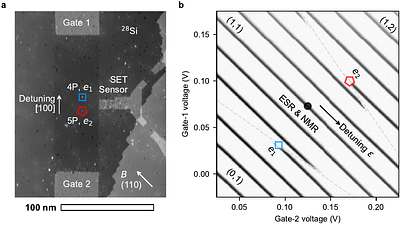 An 11-qubit atom processor in silicon