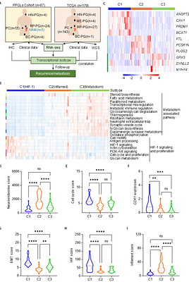 Transcriptional Subtypes on Immune Microenvironment and Predicting Postoperative Recurrence and Metastasis in Pheochromocytoma and Paraganglioma