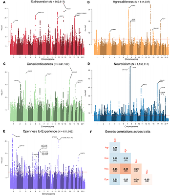 Robust inference and widespread genetic correlates from a large-scale genetic association study of human personality