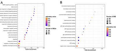 Mechanistic dissection of Candidatus Liberibacter Triggered Chronic Immune Disease