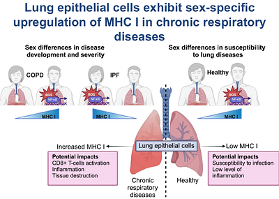 Sex and Disease Regulate MHC I Expression in Human Lung Epithelial Cells