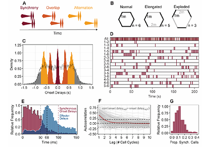 Coordination Failures Generate Selection Gradients in Animal Collectives