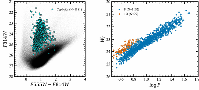 Distance-Ladder Measurements of the Hubble Constant: Recent Progress, Systematics, and Prospects