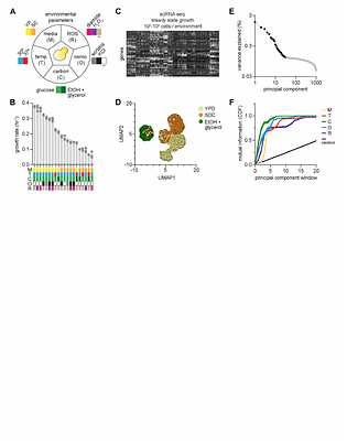Physiological architecture and evolutionary origins of cellular adaptability