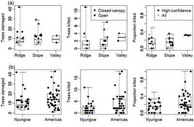 Lightning-caused disturbance frequency and severity varies with topography in an Afromontane forest
