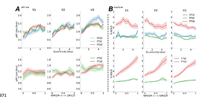 Neuronal or vascular receptive fields? On the relation between BOLD-fMRI population receptive field (pRF) estimates and cortical vascularization.