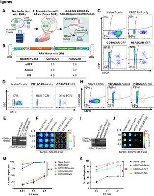 Imaging CRISPR-Edited CAR-T Cell Therapies with Optical and Positron Emission Tomography Reporters