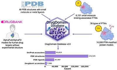 DrugDomain2.0: comprehensive database of protein domains-ligands/drugs interactions across the whole Protein Data Bank