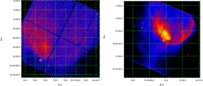 Intriguing nature of AM Her type candidate CXOU J204734.8+300105