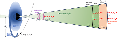A White Dwarf Tidal Disruption by an Intermediate-Mass Black Hole as the Progenitor of Ultra-long GRB 250702B