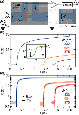 Superconducting properties of lifted-off Niobium nanowires