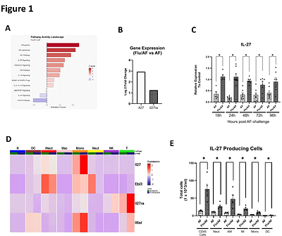 IL-27 Signaling Protects Against Influenza-Associated Pulmonary Aspergillosis Through Inhibition of Type 2 Immunity and Enhanced Antifungal Immunity