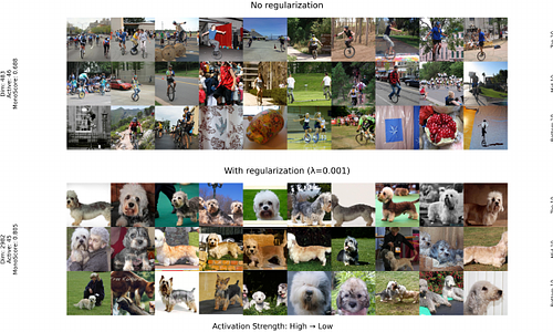 Beyond the Hard Budget: Sparsity Regularizers for More Interpretable Top-k Sparse Autoencoders