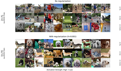 Beyond the Hard Budget: Sparsity Regularizers for More Interpretable Top-k Sparse Autoencoders