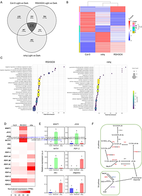 Alarmone ((p)ppGpp) signalling tunes Arabidopsis thaliana nuclear gene expression to shape the balance of plant immune outcomes