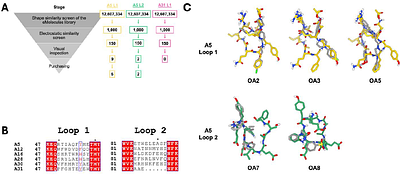 Adhirons are efficient tools to guide antiviral ligand discovery