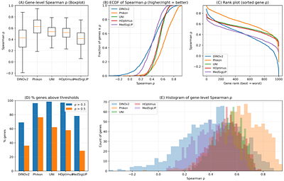 A comprehensive benchmark of publicly available image foundation models for their usability to predict gene expression from whole slide images