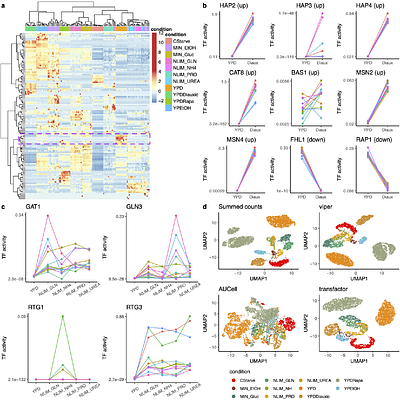 transfactor: Transcription factor activity estimation via probabilistic gene expression deconvolution