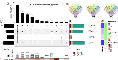Revisiting Y-chromosome detection methods: R-CQ and KAMY efficiently identify Y chromosome sequences in Tephritidae insect pests