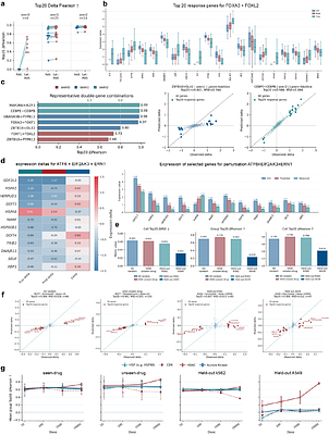 BaiZe: A Multi-View Dynamic Framework for Simulating and Interpreting Cellular Responses Across Perturbation Contexts