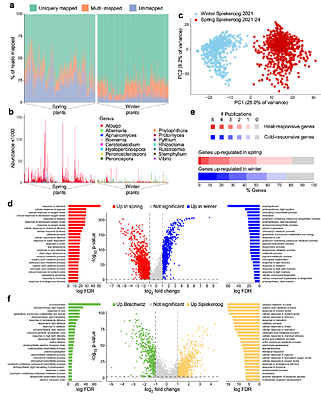 Molecular and phenotypic footprints of climate in native Arabidopsis thaliana