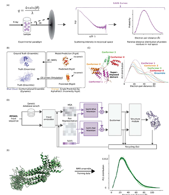 Experimental Data Driven AI Framework for Flexible Protein Conformational Reconstruction