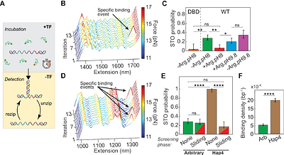 Intrinsically disordered regions facilitate Msn2 target search to drive promoter selectivity