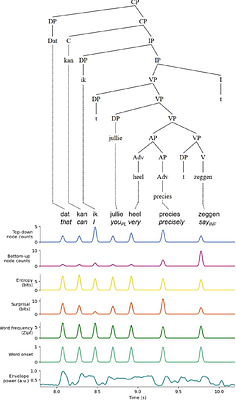 Linguistic structure and probability are jointly encoded in high gamma power