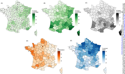 Maps of historical forests in France and their temporal continuity since the first half of the 19th century