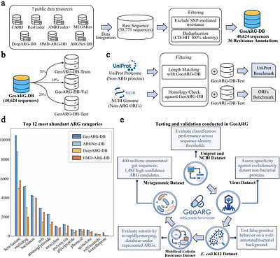 Geometry-enhanced protein language modeling enables discovery of novel antibiotic resistance genes