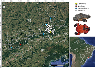 Update and Expansion of the Distribution of the Maldonado Redbelly Toad, Melanophryniscus moreirae Gallardo 1966, in Southeast Brazil, Using Citizen Science Data