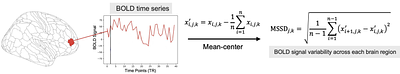 Transdiagnostic Profiles of BOLD Signal Variability in Autism and Schizophrenia Spectrum Disorders: Associations with Cognition and Functioning