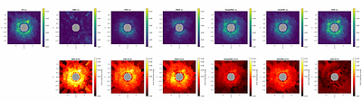 Topology-Preserving Neural Operator Learning via Hodge Decomposition