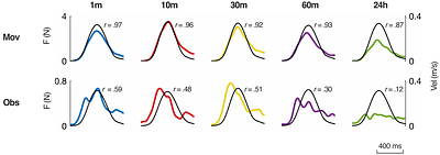 Durability of Motor Learning by Observing