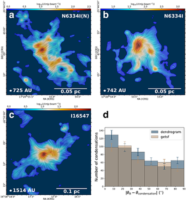 When turbulence beats magnetism: origin of massive star cluster seeds