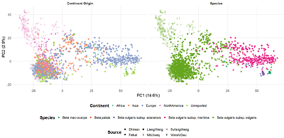 Evolutionary and Deep Learning Models Highlight Deleterious Mutations Behind the History of Sugar Beet Breeding