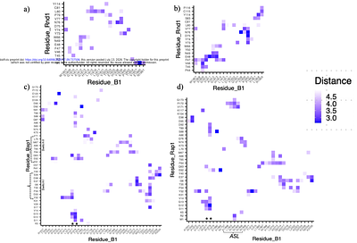 A model for PIP2/3 and Rnd1 effects on Plexin-B1 GAP activity on Rap1b GTPase derived from molecular dynamics simulations