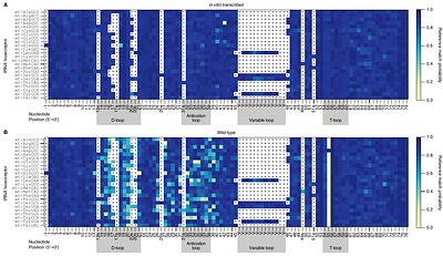 Concurrent detection of chemically modified bases in yeast mitochondrial tRNAs by Nanopore direct RNA sequencing