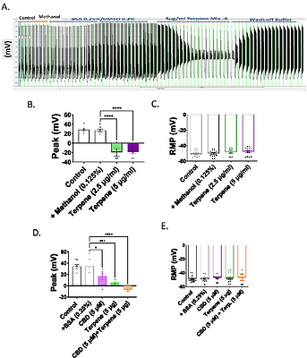 Endocannabinoid ligands (CBD, Δ9THC, and Terpenes) inhibit excitability of mouse dorsal root ganglion neurons and exhibit synergistic inhibitory effects