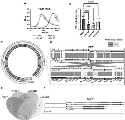 Mechanisms of 10-Hydroxyoctadecanoic acid resistance in Streptococcus pneumoniae