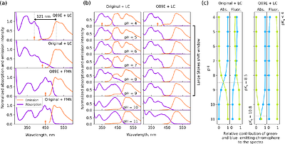 Discovery of excited state proton transfer in flavin-based fluorescent protein with large Stokes shift