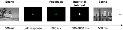 Encoding and Retrieval in Parallel: ERP Correlates of Continuous Recognition Memory for Natural Scenes