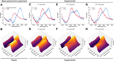 Thermally activated irreversible homogenization of G-quadruplexes in an ALS/FTD-associated nucleotide expansion